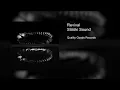 Revival - Stööki Sound