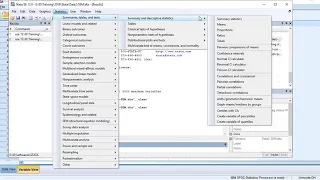 Descriptive statistical analysis in STATA