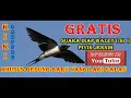 Download Lagu SUARA INAP WALET  ( SI ) PIYIK YANG TERKENAL DAN JERNIH...