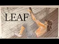 Lagu Leaf