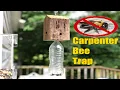 Best Carpenter Bee trap Build from scrap stuff around the house