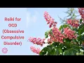 Download Lagu Reiki for OCD (Obsessive Compulsive Disorder) 💮