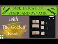 Static and Dynamic Multiplication with the Montessori Golden Beads
