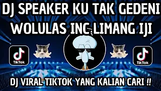 speaker ku tak gedeni wolulas inch limang iji kang im dj viral tiktok terbaru 2026 