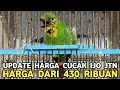 Lagu FULL STOCK || HARGA CAK IJO JTN DARI 430 / 480 / SAMPAI 500 RIBU DI PASAR BURUNG PRAMUKA