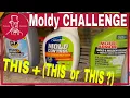 How to Remove Mold Review Mold Armor Mold Control and CLR to Get Rid of Mold