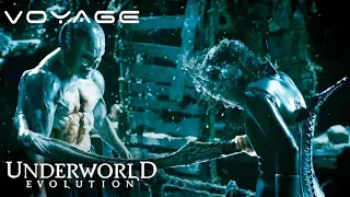 underworld evolution selenes final battle against markus voyage
