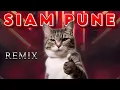 Download Lagu Siam Pune   | DJ MOE LAY | TikTok Trending Mix