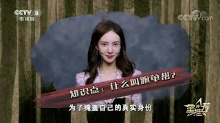  20201119 cctv 