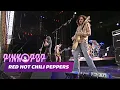 Lagu Red Hot Chili Peppers - 'Otherside' [HD] | Live at Pinkpop 2006