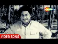Download Lagu Hum To Mohabbat Karega | Dilli Ka Thug (1958) | Nutan | Kishore Kumar Hit Songs | Old Hindi Song
