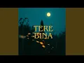Download Lagu Tere Bina