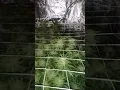 Strawberry Kush and Bruce banner update