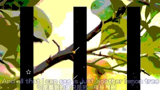 Lemon Tree 檸檬樹 經典流行金曲 Fool S Garden 中英歌詞 