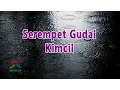 Download Lagu Serempet Gudal - Kimcil | Video Lirik