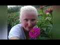Download Lagu З цим треба народитись))))А то все відмовки)))