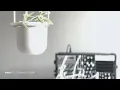 Generative Eurorack Ambient // Innesti