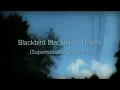 Blackbird Blackbird - Hawaii (Superhumanoids Remix)