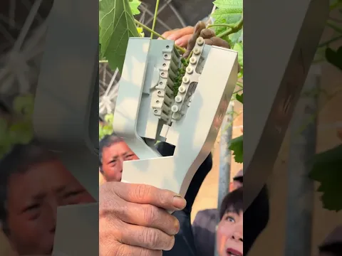 Advance Grape🍇Farming machine 