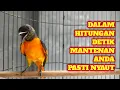 Download Lagu PANCINGAN SUARA MANTENAN GUNUNG TERBAIK