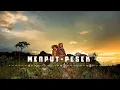 Download Lagu Wamena wisisi pesek RyaNo mix voice 1 Supir 2 Junus 3 Janu: pesek slow semoga terhibur. 🎧😌🎧