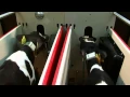 Download Lagu Lely Calm automatic calf feeder