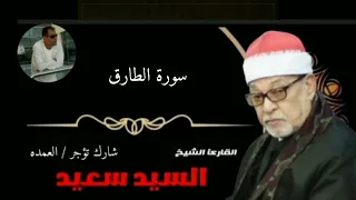 الشيخ السيد سعيد سورة الطارق دندنها
