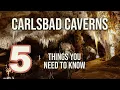 Carlsbad Caverns National Park - 5 Tips for Visiting