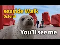 Lagu Seaside Walking Tour 🌊 Exploring Ostend Beach in 4K | Belgium