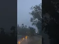 Hurricane Francine