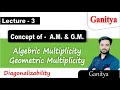 Algebraic Multiplicity and Geometric Multiplicity Diagonalization Ganitya