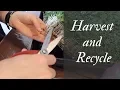 How to recycle coco mats and harvest microgreens
