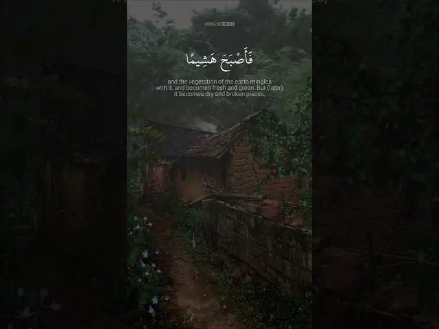 ⁣وَٱضۡرِبۡ لَهُم مثَلَ ٱلۡحَیَوٰةِ ٱلدُّنۡیَا كمَاۤءٍ أَنزَلنَـٰهُ مِنَ ٱلسّمَاۤءِ .. || عامر الكاظمي