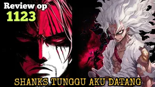 op 1123 review the encountered encounter the strongest yonkou and joyboy one piece 1123 re 