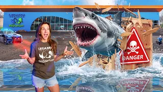 We Bought Another SHARK!