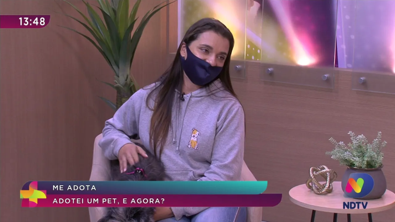 Me Adota: veja dicas de como adestrar um pet e acostumá-lo ao ambiente após a adoção