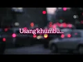 Do You Remember Me? [usang'khumbula?] | Gwijo Lyrics | Gumedegee