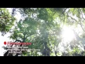 Music Video | 'Forevermore' by Juris
