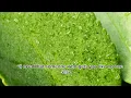 Download Lagu On My Way - Ayna Fazrina _ (Bass Boosted) _ (Alan Walker Mashup)