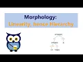 Morphology Linearity hence Hierarchy
