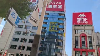                                                                                دندنها