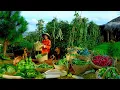 Download Lagu Harvest: Cauliflowers, Okras, Red Radishes, Bottle Gourds, Kales To Sell At The Market, Cook, Farm