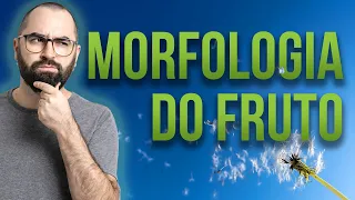 Organologia do Fruto (Morfologia) Parte 01 - Aula 20: Botânica (Prof. Guilherme)