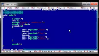 17 switch C programming tutorial part