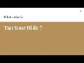 Tan Your Hide color hex color - Yellow color