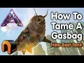 ARK Extinction HOW TO TAME A GASBAG Kibble After Patch