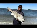 Epic Surf Fishing at Jekyll Island Big Reds Golden Sunset October 2025