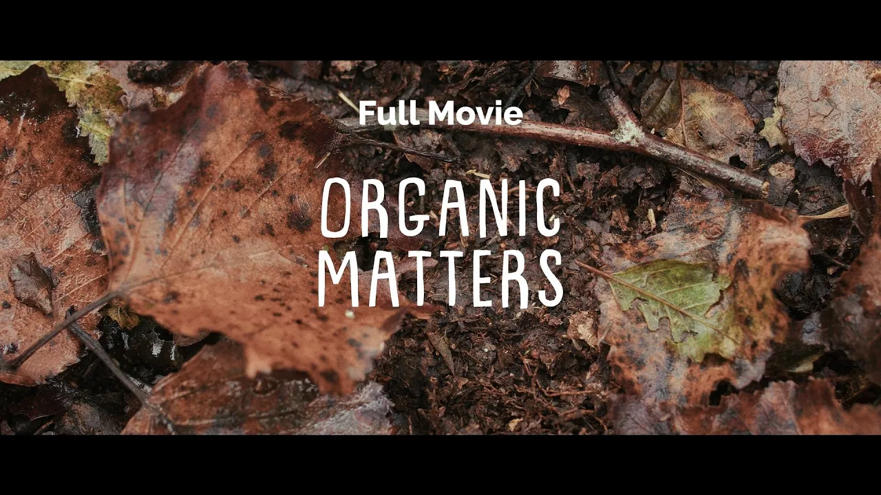 Organic Matters | Everything you need to know about Agroforestry