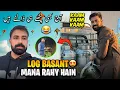 Lagu Lahore me Log Basant Mana Rahy Hain 😍🪁 | ہم نے آج کے دن بھی پٹھے ہی ڈالنے ہیں