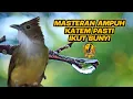 Download Lagu MASTERAN KAPAS TEMBAK GACOR AMPUH PASTI IKUT BUNYI #kapastembak #kapastembakgacor @mirgimaster4110